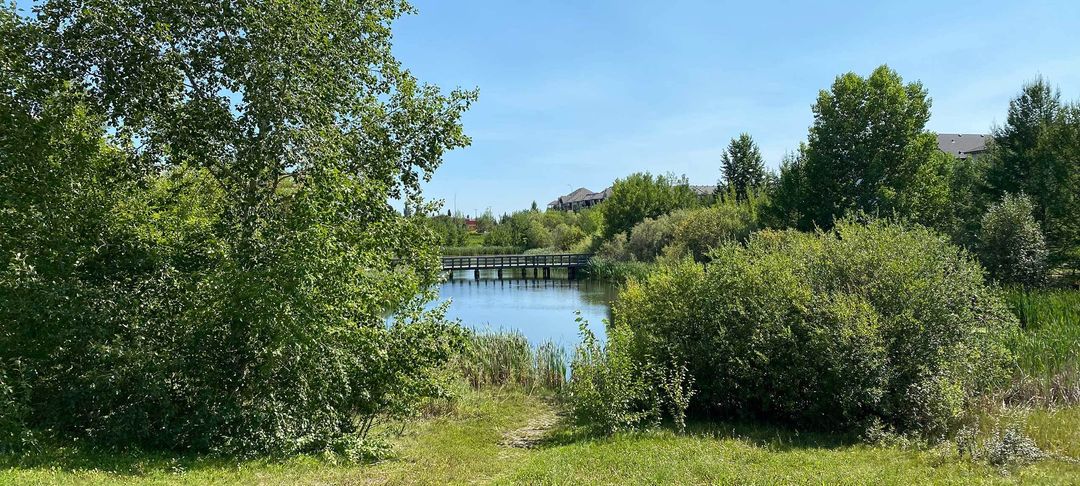 Homes for Sale in Rutherford Edmonton | Liv Real Estate