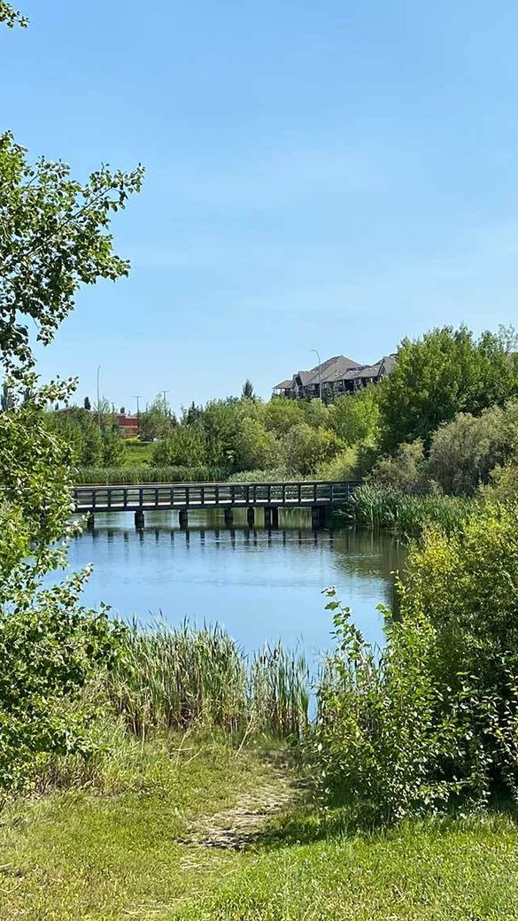 Homes for Sale in Rutherford Edmonton | Liv Real Estate