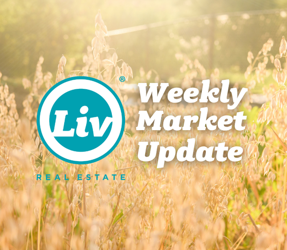 Edmonton Real Estate Weekly Market Update Aug7/26