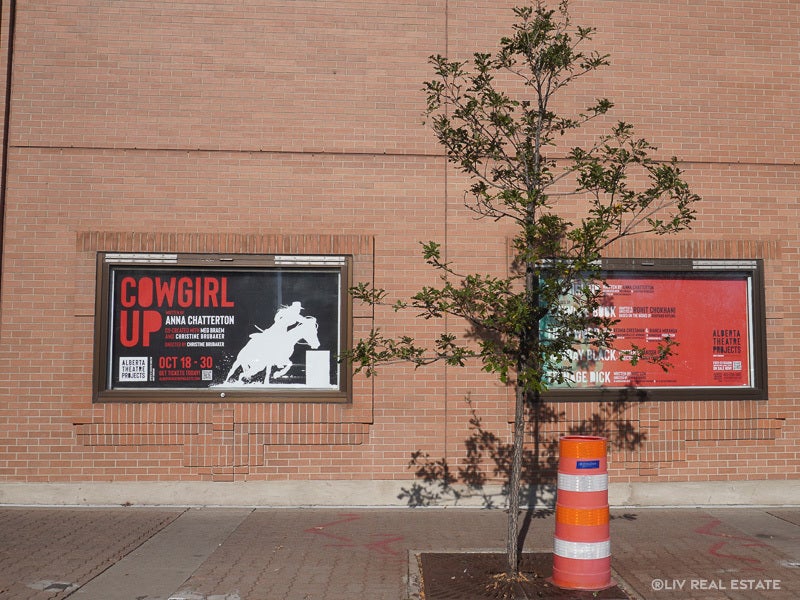 City Centre-Calgary-Entertainment Venues