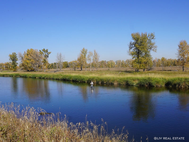 Diamond Cove-Calgary-Fly Fishing on the Bow River