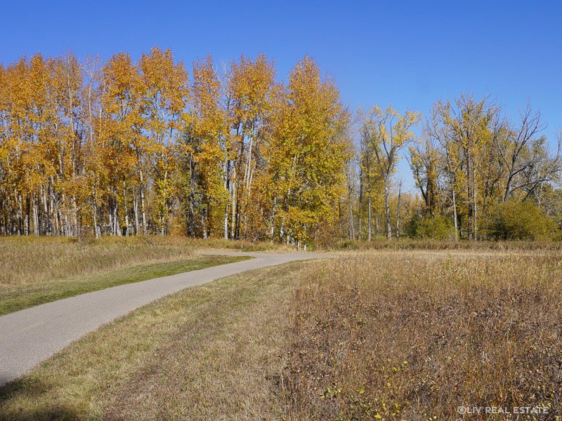 Diamond Cove-Calgary-Fish Creek Park