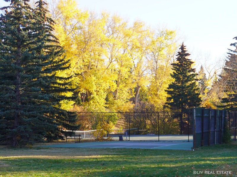 Glendale-Calgary-Community Tennis Courts