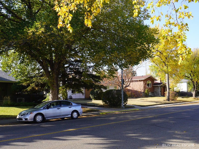 Kingsland-Calgary-Community Scene