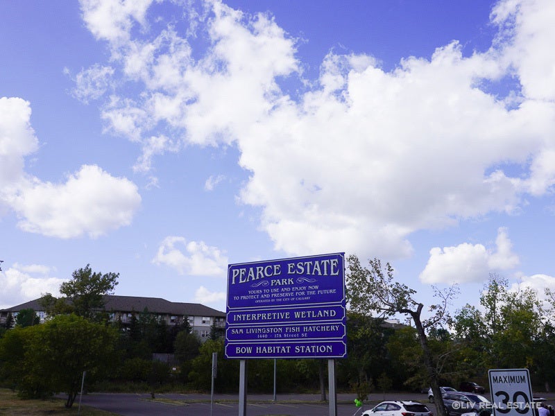 Manchester-Calgary-Pearce Estate park