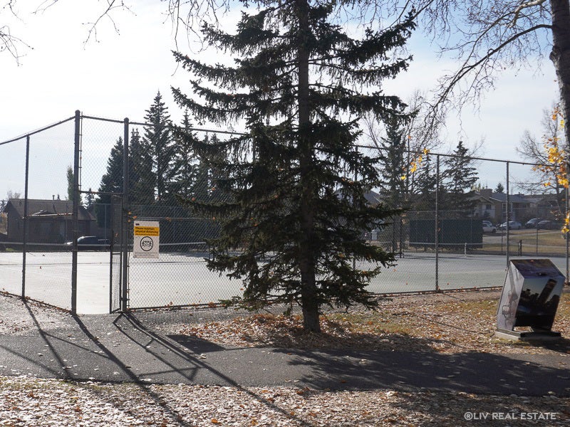 Shawnessi-Calgary-Atheltic Amenities