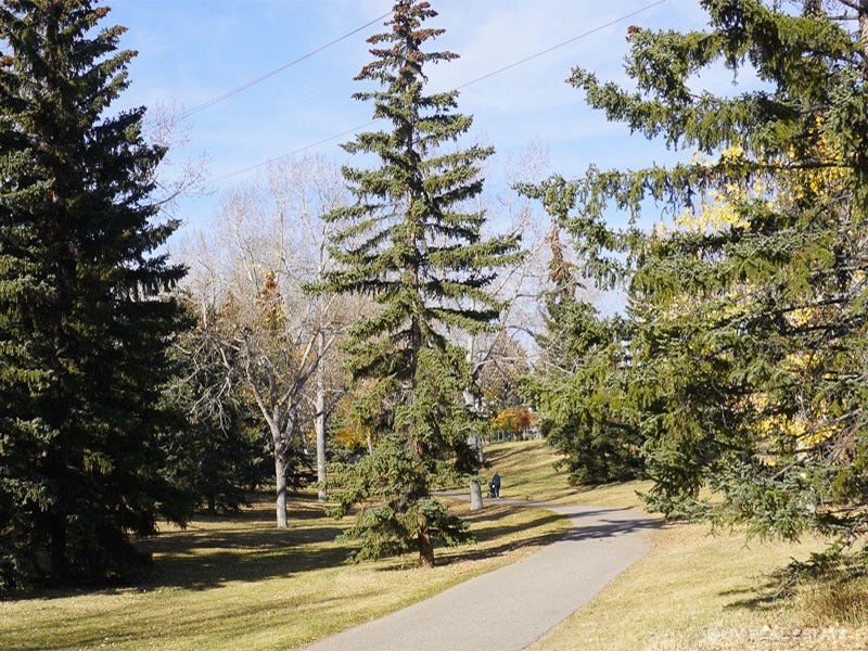 Shawnessi-Calgary-Community Greenspace
