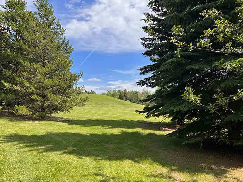 Glen Allan Homes for Sale in Sherwood Park Liv Real Estate® Listings