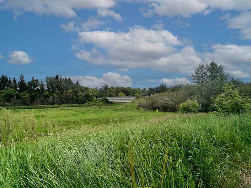 Oakmont Homes for Sale St. Albert Liv Real Estate® Listings