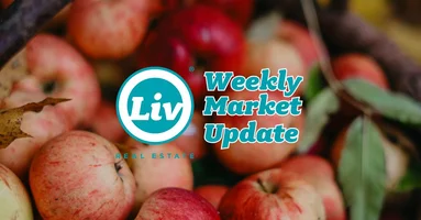 Edmonton Real Estate Weekly Market Update Sep12/25