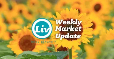 Edmonton Real Estate Weekly Market Update Aug21/26