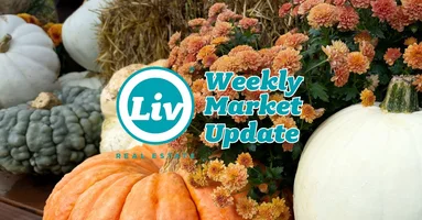 Edmonton Real Estate Weekly Market Update Oct10/25