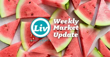 Edmonton Real Estate Weekly Market Update Jul17/26