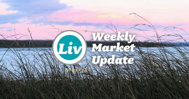 Edmonton Real Estate Weekly Market Update June19/26