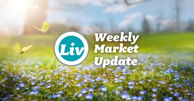 Edmonton Real Estate Weekly Market Update May29/26