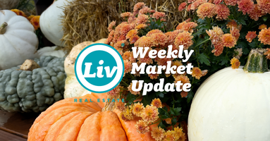 Edmonton Real Estate Weekly Market Update Sep18/26