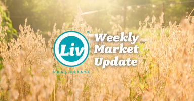 Edmonton Real Estate Weekly Market Update Aug7/26
