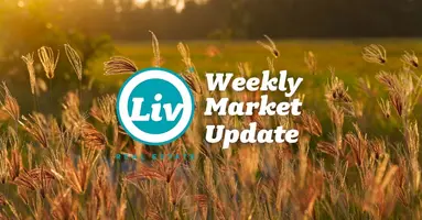Edmonton Real Estate Weekly Market Update Aug28/26