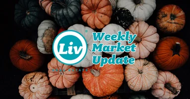 Edmonton Real Estate Weekly Market Update Oct3/25