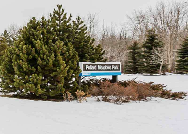 Pollard Meadows Homes for Sale in Southeast Edmonton Liv Real Estate® Listings